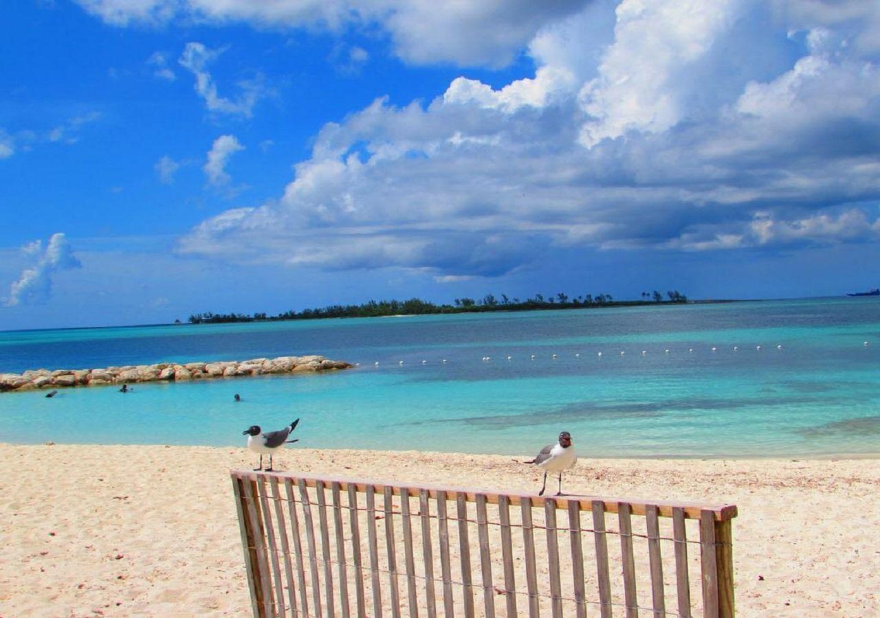The Oasis Retreat Daire Nassau Dış mekan fotoğraf