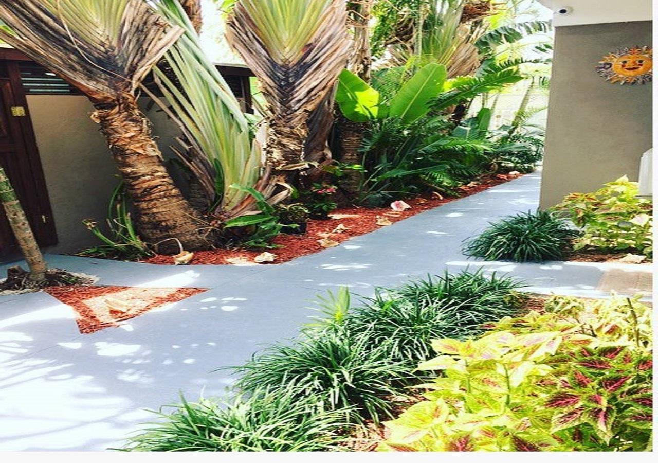 The Oasis Retreat Daire Nassau Dış mekan fotoğraf